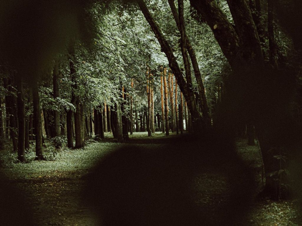 resizelinas-drulia-IGQyeVathuM-unsplash-1536x864-1.jpg.optimal.jpg