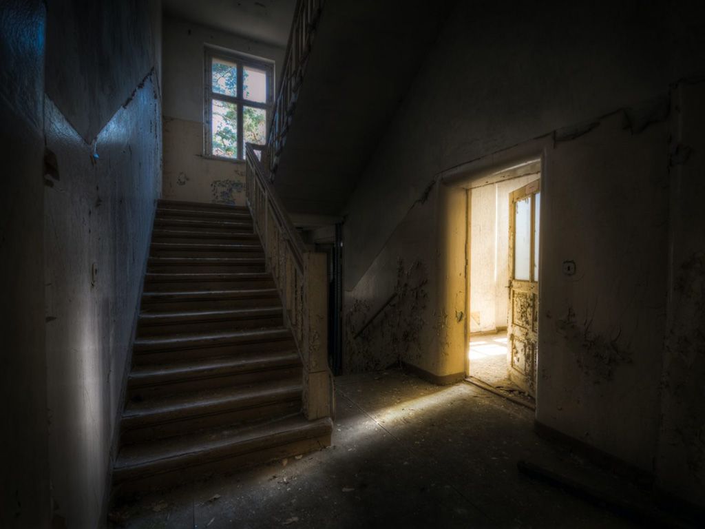 resizenathan-wright-HJuPy02lQkU-unsplash-1536x1019-1.jpg.optimal.jpg