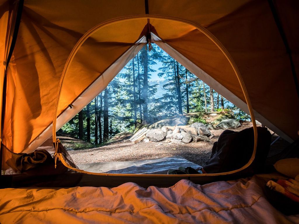 resizescott-goodwill-y8Ngwq34_Ak-unsplash-1536x1025-1.jpg.optimal.jpg