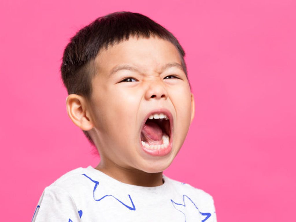 resizeshutterstock_480356401-768x485-1.jpg.optimal.jpg